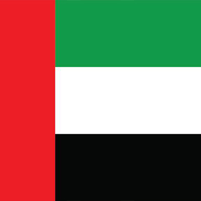 Arabia Flag